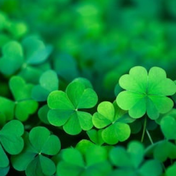 Meet your Posher - Picture 4 of 10